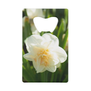 Big white daffodils on a spring day   credit card bottle opener