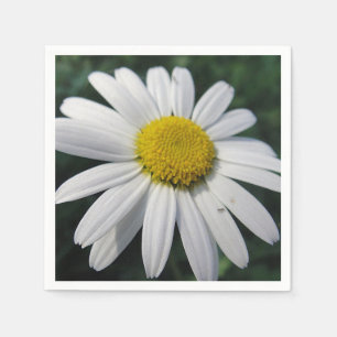 Big White Daisy  Napkin