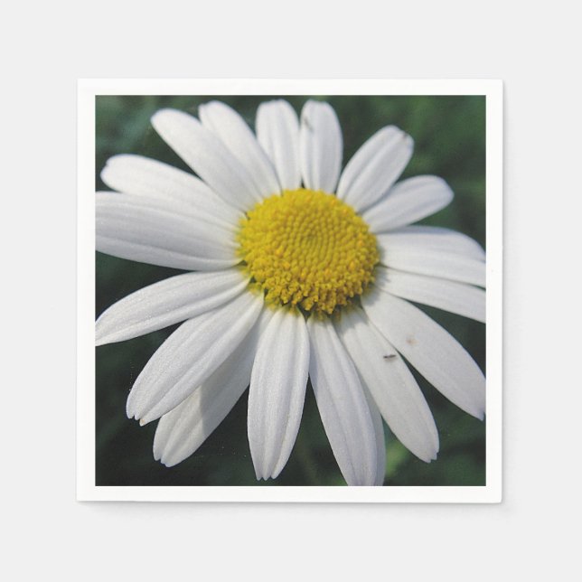 Big White Daisy Napkins (Front)