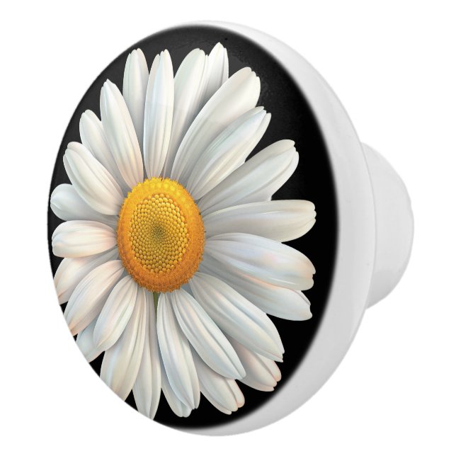 Big White Daisy On Black Ceramic Knob (Right)