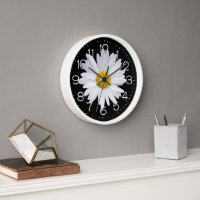 Big White Daisy On Black