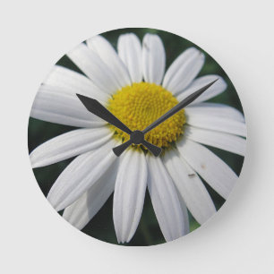 Big White Daisy Round Clock