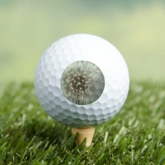 Big White Dandelion Golf Balls