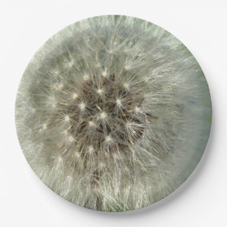 Big White Dandelion Paper Plate