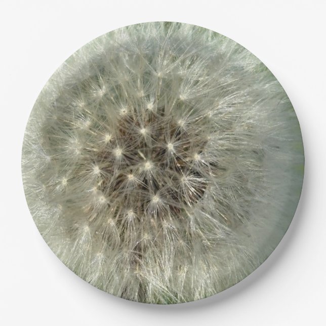 Big White Dandelion Paper Plate (Front)