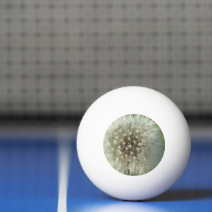 Big White Dandelion Ping Pong Ball
