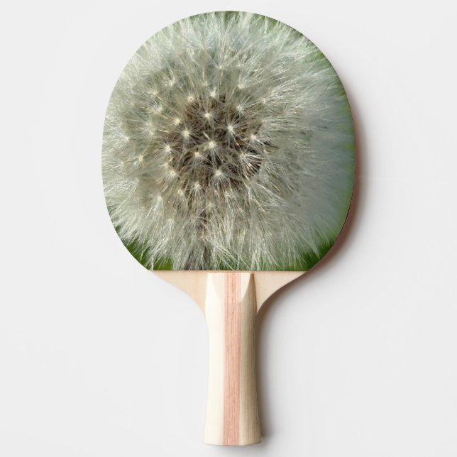 Big White Dandelion Ping Pong Paddle (Front)