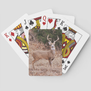 Big Wild Buck Deer Large Antlers Texas Deer Playing Cards