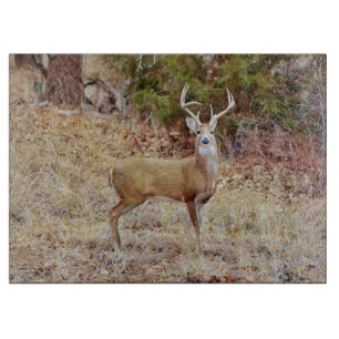 Big Wild Buck Deer Nature Glass Cutting Board