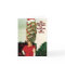 Big Xmas Hair Humour Holiday Card