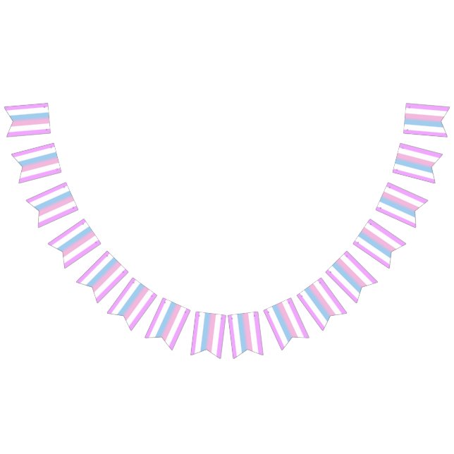 Bigender Pride Flag (All)