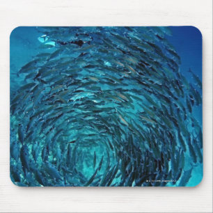 Bigeye trevally (Caranx sexfasciatus), swimming Mouse Pad