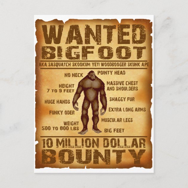 Bigfoot Bounty 10 Million Dollar Wanted Poster Postcard | Zazzle