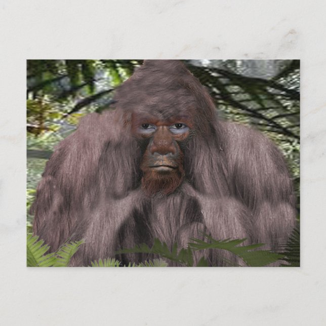 BIGFOOT PHOTOGRAGH POSTCARD (Front)