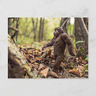Bigfoot Postcard   Sasquatch
