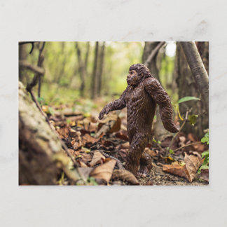 Bigfoot Postcard | Sasquatch