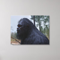 bigfoot,sasquatch,