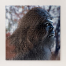 BIGFOOT SASQUATCH PORTRAIT IN PROFILE AT DUSK