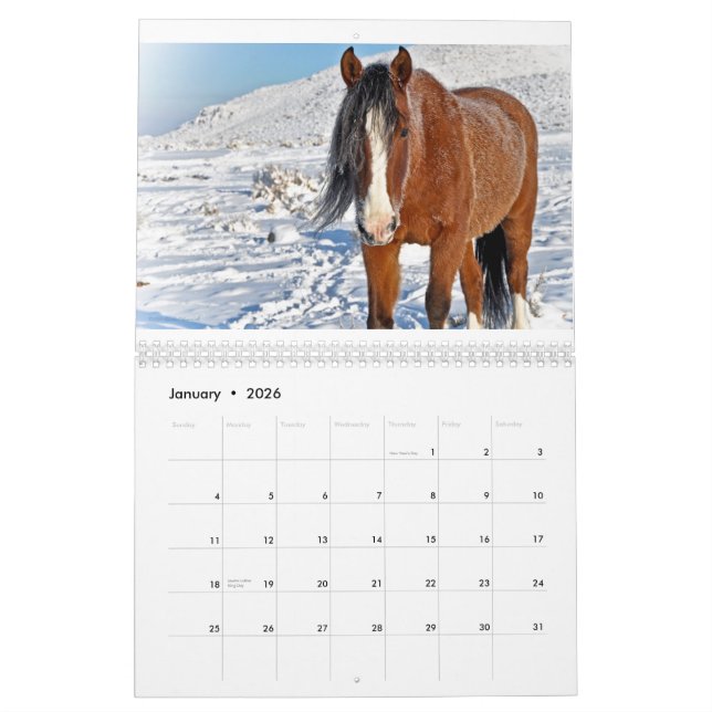 Biggest Little City Mustangs 2011 Calendar (Jan 2026)