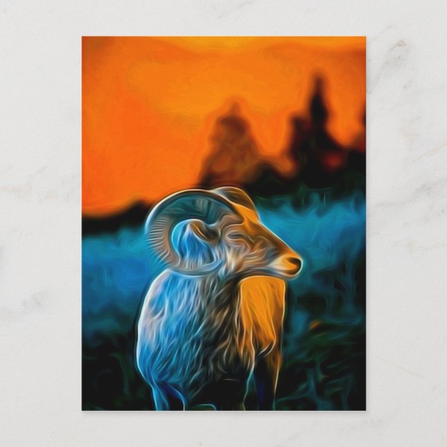 Bighorn at sunset postcard (Front)