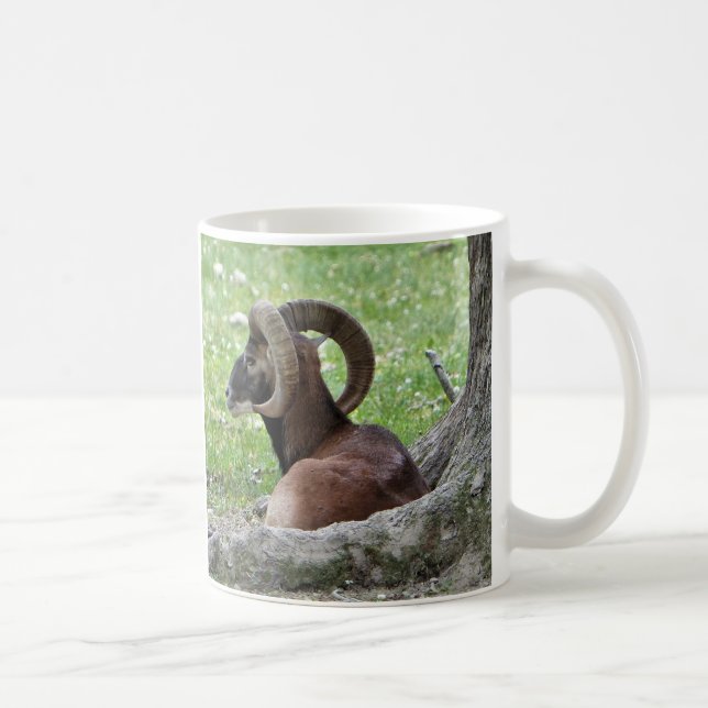 Bighorn Mug (Droite)