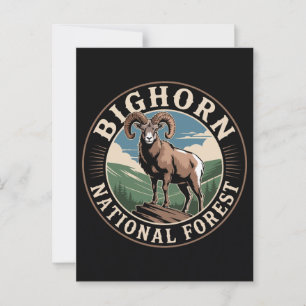 Bighorn National Forest Bighorn Sheep Postcard