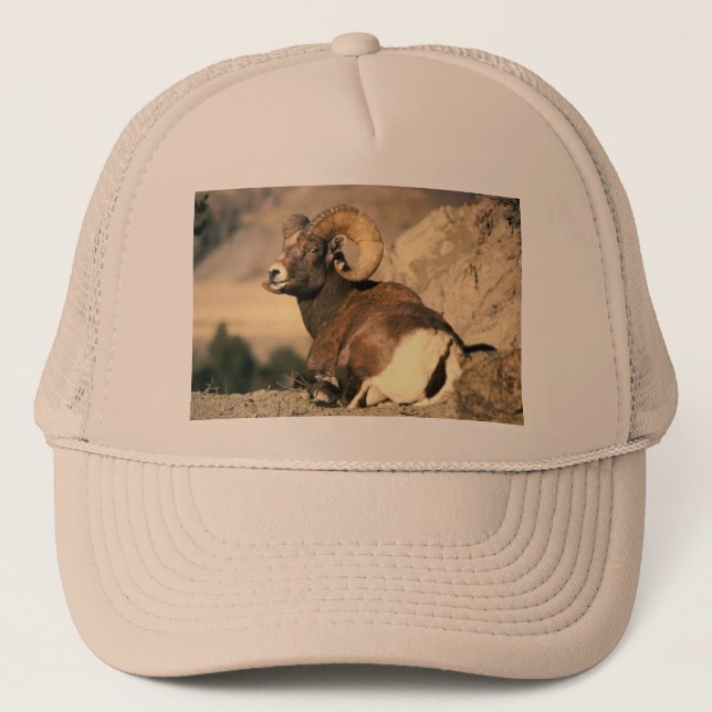 Bighorn Ram Trucker Hat (Front)