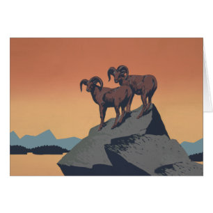 Bighorn Sheep American West Wildlife
