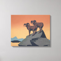 Bighorn Sheep American West Wildlife