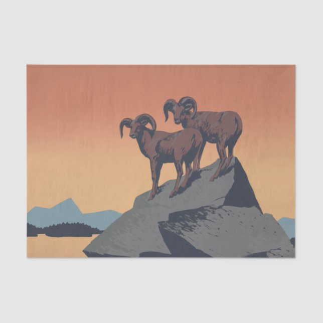 Bighorn Sheep American West Wildlife Tissue Paper (Front)