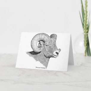 Bighorn Sheep Card