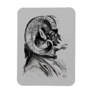 Bighorn Sheep In Suit Magnet