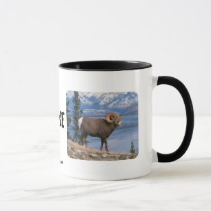 BIGHORN SHEEP MUG