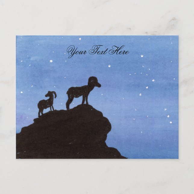 Bighorn Sheep Postcard (Front)