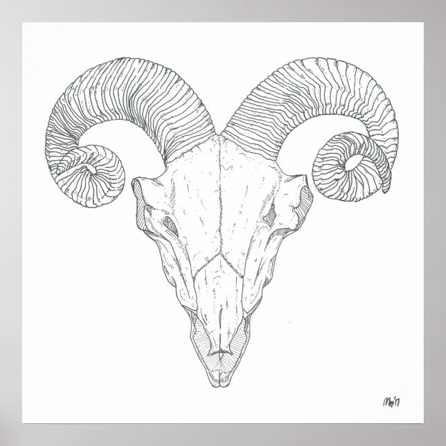 Bighorn Sheep Print (large) (Front)