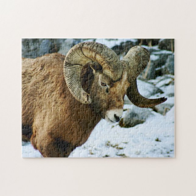 Bighorn Sheep Ram Jigsaw Puzzle (Horizontal)