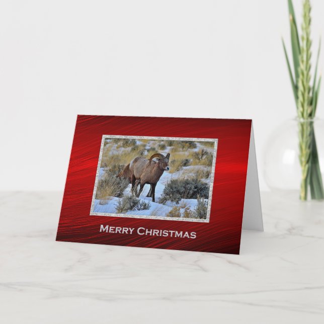 Bighorn Sheep Snow Photo Christmas Holiday Card (Front)