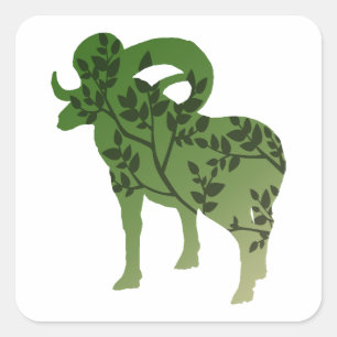 Bighorn Sheep Tree Square Sticker