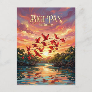 Bigi Pan Nature Reserve Suriname Postcard