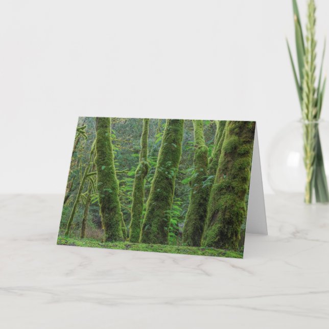 Bigleaf Maple Trees & Ferns | Washington State Card (Front)