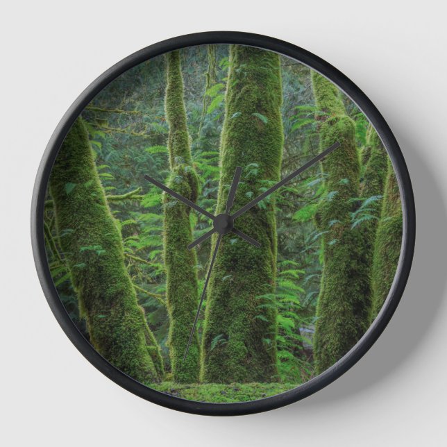 Bigleaf Maple Trees & Ferns | Washington State Clock (Front)