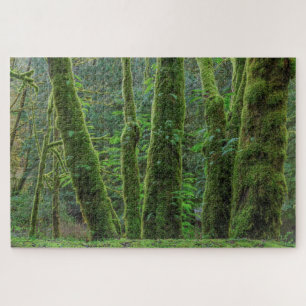 Bigleaf Maple Trees & Ferns   Washington State Jigsaw Puzzle