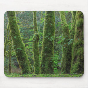 Bigleaf Maple Trees & Ferns Washington State Mouse Pad