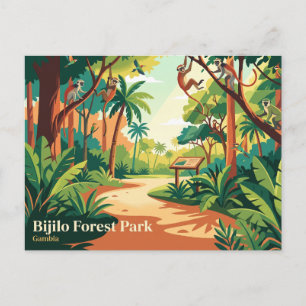 Bijilo Forest Park (Monkey Park) Gambia Postcard