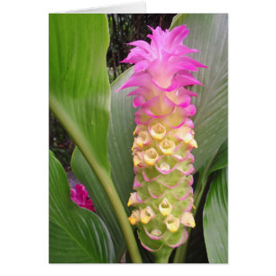 Bijou de la Thaïlande