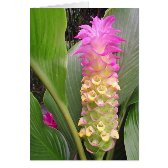 Bijou de Thaïlande (Devant)