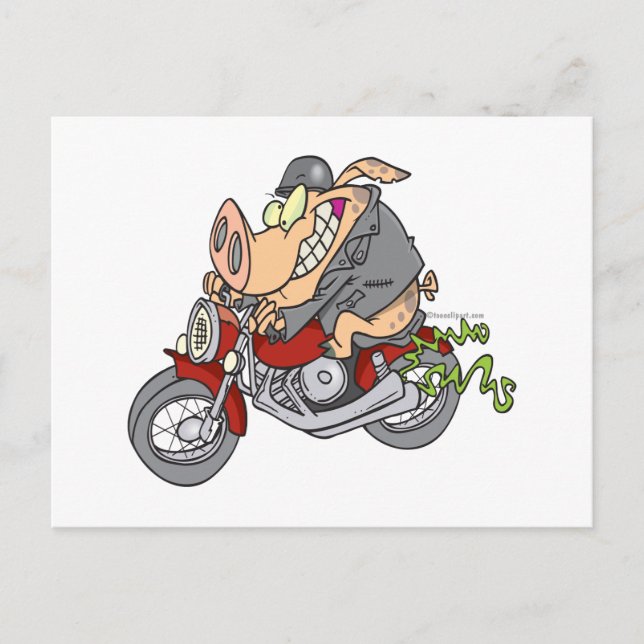 biker hog pig motorcycle bike cartoon postcard (Front)
