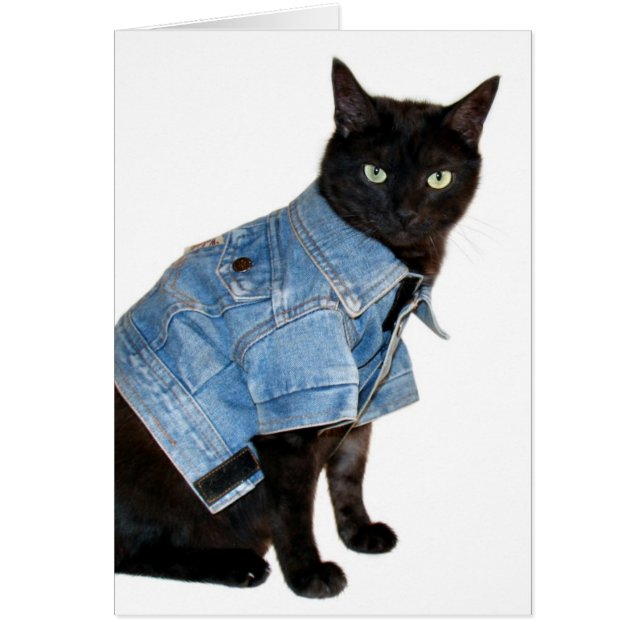 biker kitty (Devant)