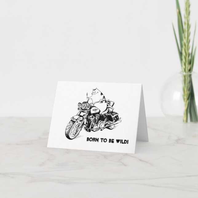 Biker Kitty Greeting Card (Front)