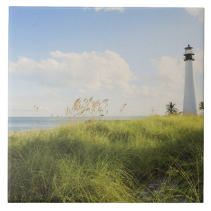 Bill Baggs Cape Florida Lighthouse, Bill Baggs Tile